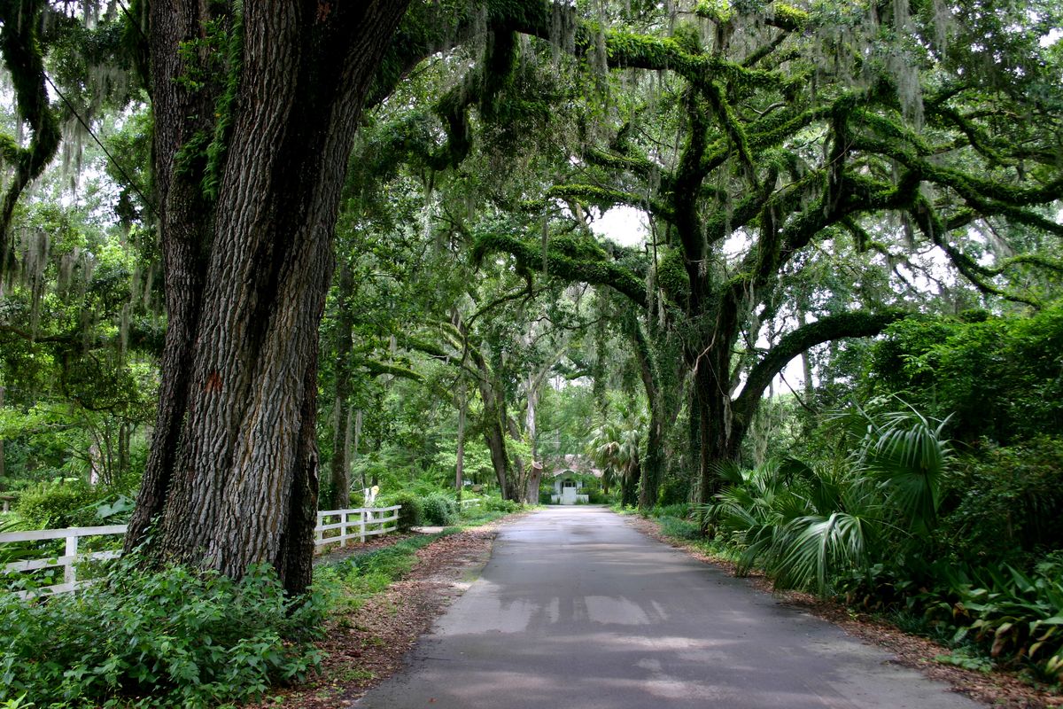 <p>Just 15 minutes south of Gainesville, this <a href="https://go.redirectingat.com?id=74968X1553576&url=https%3A%2F%2Fwww.tripadvisor.com%2FTourism-g34444-Micanopy_Florida-Vacations.html&sref=https%3A%2F%2Fwww.countryliving.com%2Flife%2Ftravel%2Fg4813%2Fbest-small-towns-in-florida%2F">Seminole-named enclave</a> features dozens of antique vendors on oak-lined Cholokka Boulevard. The annual <a href="http://www.micanopyfallfestival.org/">Fall Harvest Festival</a> brings music and crafts, but you can also escape the crowds in nearby <a href="https://www.floridastateparks.org/parks-and-trails/paynes-prairie-preserve-state-park">Paynes Prairie Preserve State Park</a> and watch wildlife from a 50-foot-high observation tower.</p><p><a class="body-btn-link" href="https://go.redirectingat.com?id=74968X1553576&url=https%3A%2F%2Fwww.tripadvisor.com%2FTourism-g34444-Micanopy_Florida-Vacations.html&sref=https%3A%2F%2Fwww.countryliving.com%2Flife%2Ftravel%2Fg4813%2Fbest-small-towns-in-florida%2F">Shop Now</a></p>