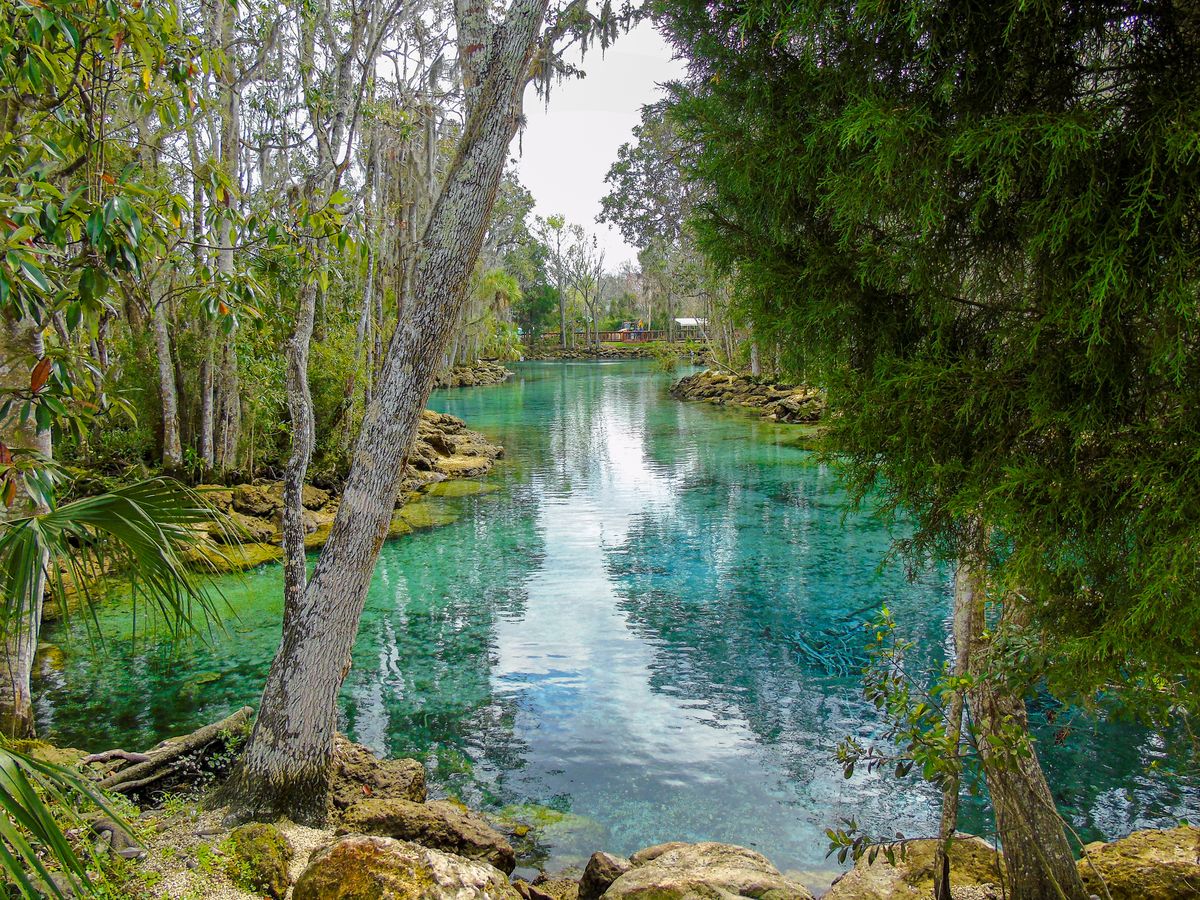 <p>Swim with manatees in this <a href="https://go.redirectingat.com?id=74968X1553576&url=https%3A%2F%2Fwww.tripadvisor.com%2FTourism-g34162-Crystal_River_Florida-Vacations.html&sref=https%3A%2F%2Fwww.countryliving.com%2Flife%2Ftravel%2Fg4813%2Fbest-small-towns-in-florida%2F">central Florida town</a> beloved by nature-seekers. The Three Sisters Springs flow at a constant 72 degrees, creating an ideal home for the gentle giants when the temperature drops in the Gulf of Mexico.</p><p><a class="body-btn-link" href="https://go.redirectingat.com?id=74968X1553576&url=https%3A%2F%2Fwww.tripadvisor.com%2FTourism-g34162-Crystal_River_Florida-Vacations.html&sref=https%3A%2F%2Fwww.countryliving.com%2Flife%2Ftravel%2Fg4813%2Fbest-small-towns-in-florida%2F">Shop Now</a></p>