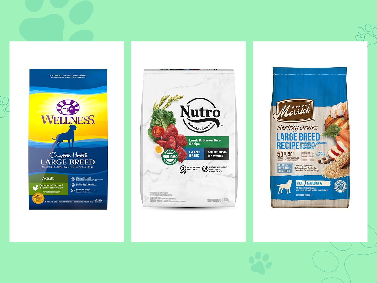 The best dog foods of 2023, according to experts