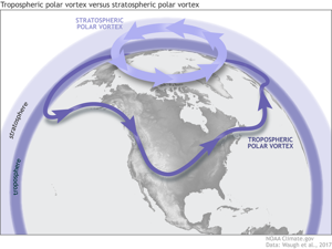 A diagram illustrating the differences between the stratospheric polar vortex and the tropospheric polar vortex. (NOAA/NWS)
