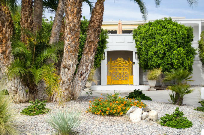 Is Xeriscaping Your Yard Right for You?