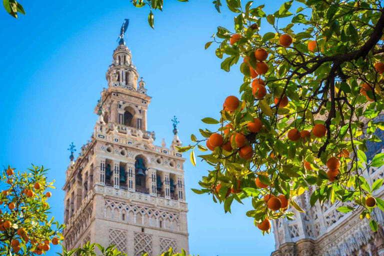 Want to visit Europe in the spring, but don't know where to go? These 12 destinations offer culture, beaches, architecture, and more, and they're perfect to visit in spring when the crowds are fewer. Here are some of the best European cities to visit in the spring.