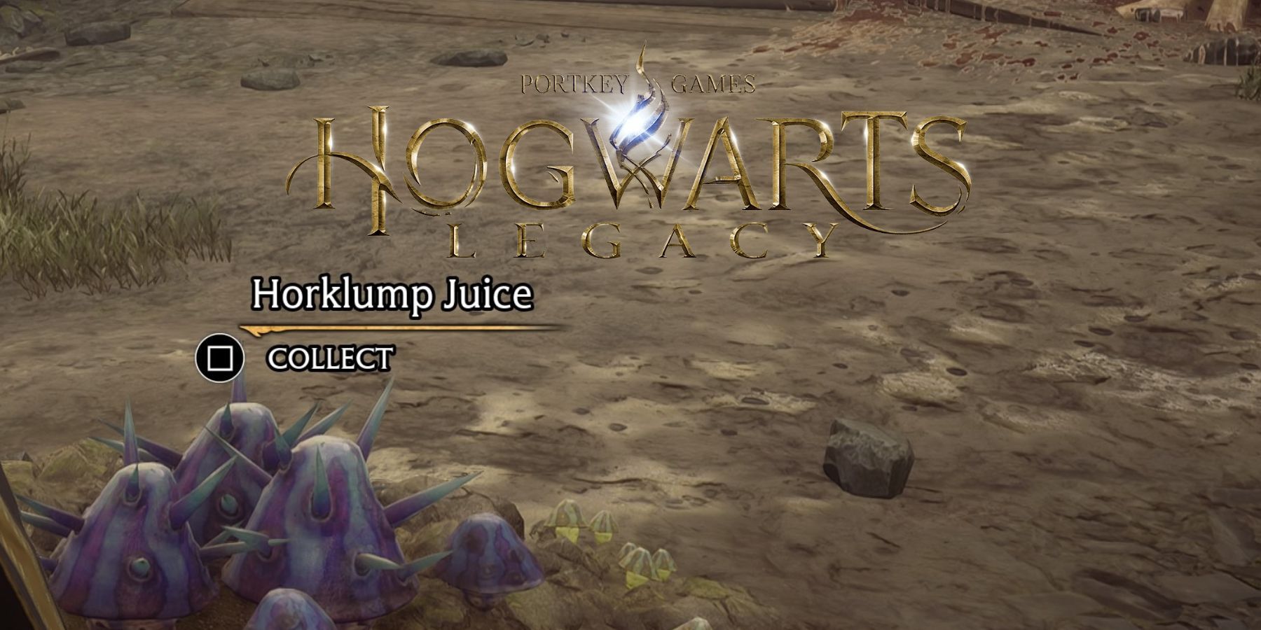 Hogwarts Legacy How To Get Horklump Juice   AA17GBtz.img