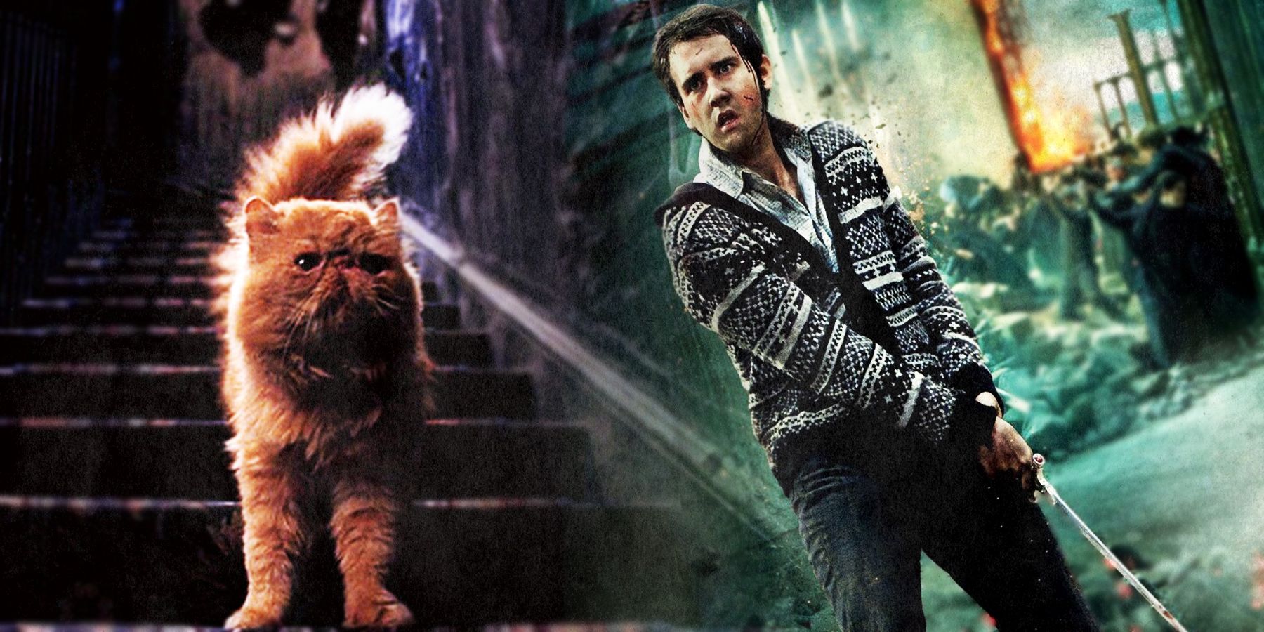50 Harry Potter Fan Theories That Could Be True