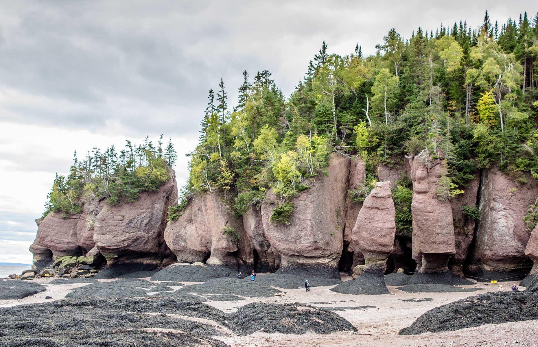 Located in the <b>Bay</b> <b>of</b> <b>Fundy</b>, Hopewell Rocks sees the highest tide in the wo...