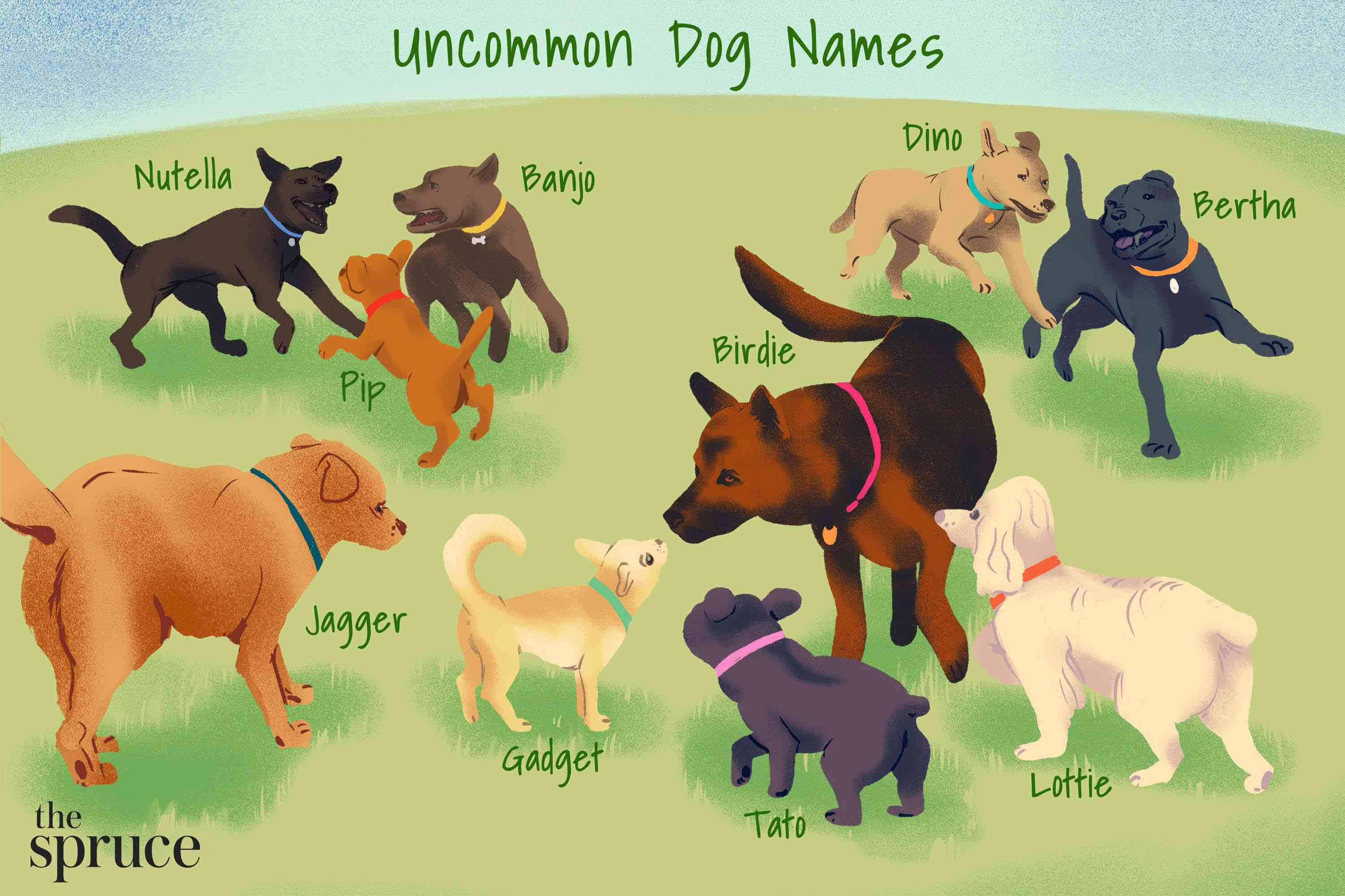 Kind pets. Диснеевские собаки имена. Имена для собак. Pet names. Лэдди собака.