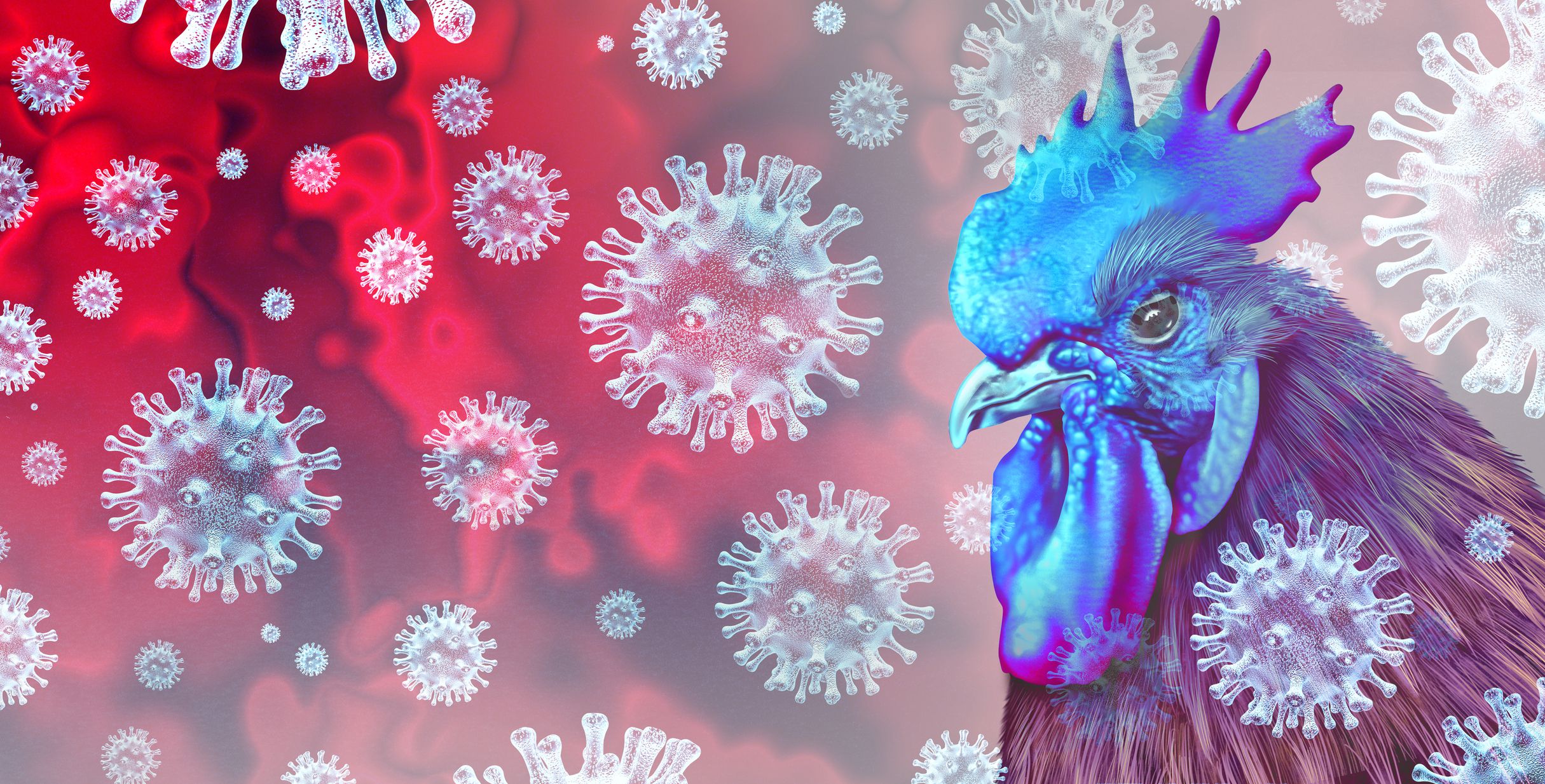 los casos humanos de gripe aviar son “una enorme preocupación”: oms