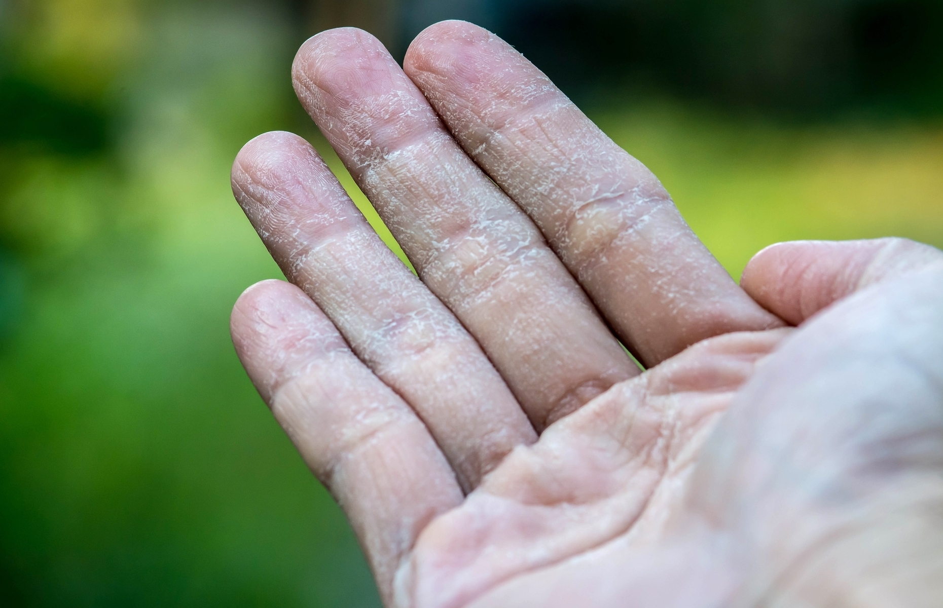 20 things to know about the thyroid