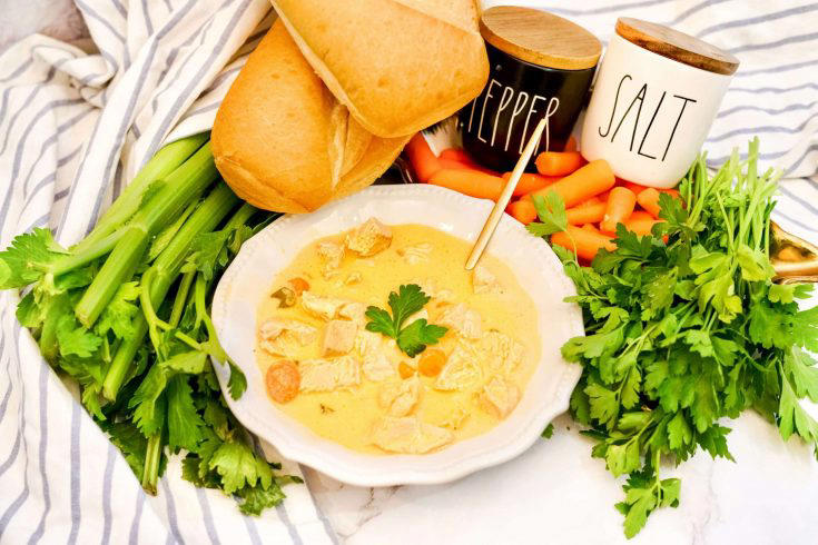 75+ Shredded Chicken Recipes