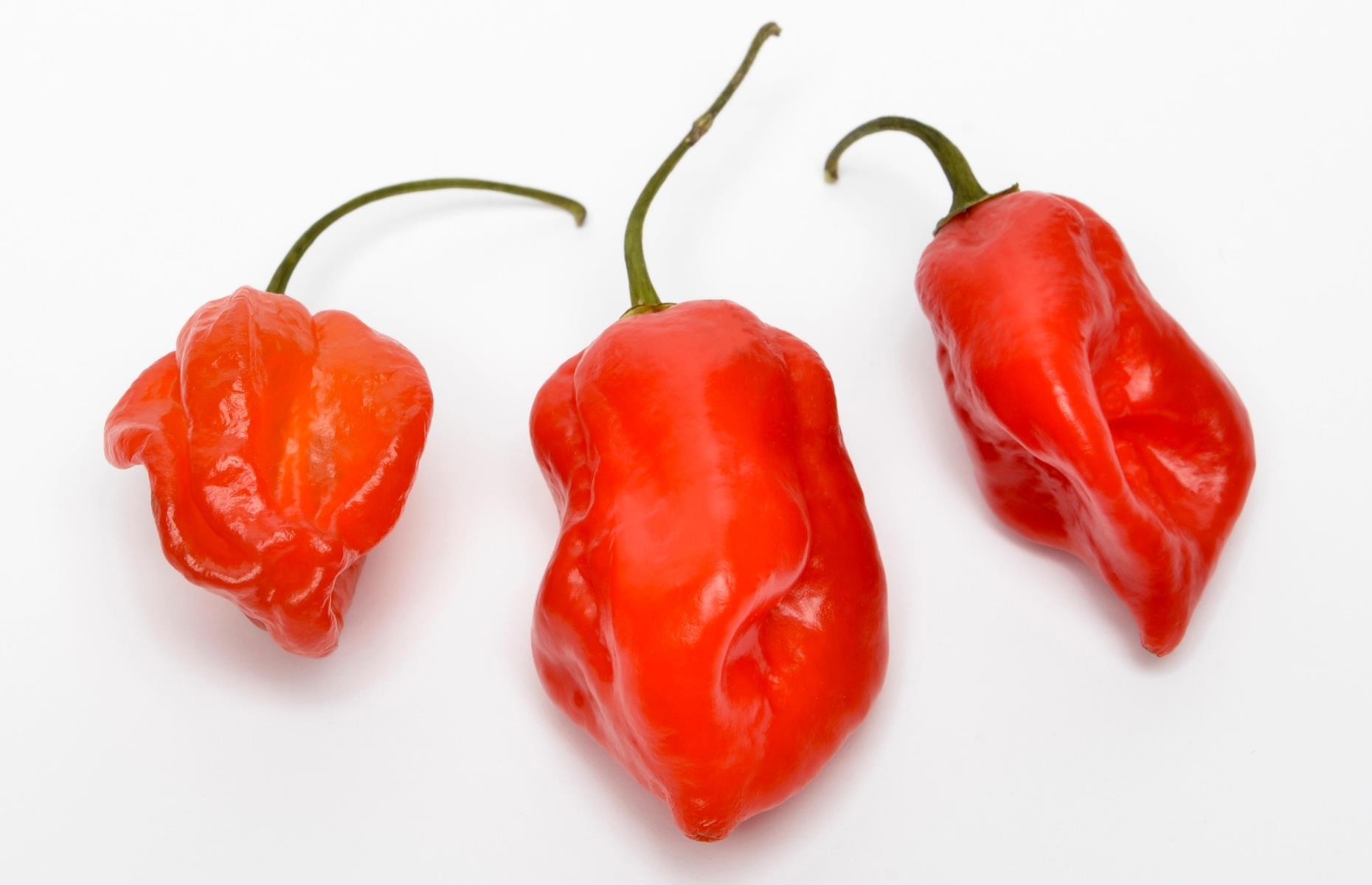 Revealed The world's 14 HOTTEST chillies, and how to cook with them