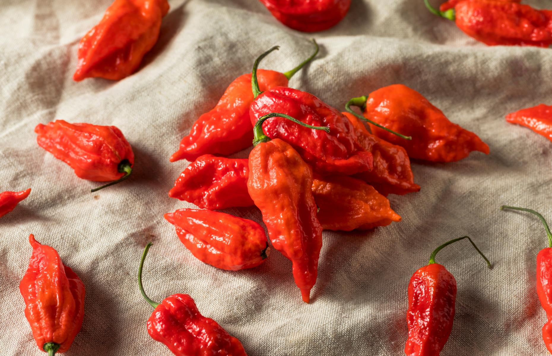 Revealed The world's 14 HOTTEST chillies, and how to cook with them
