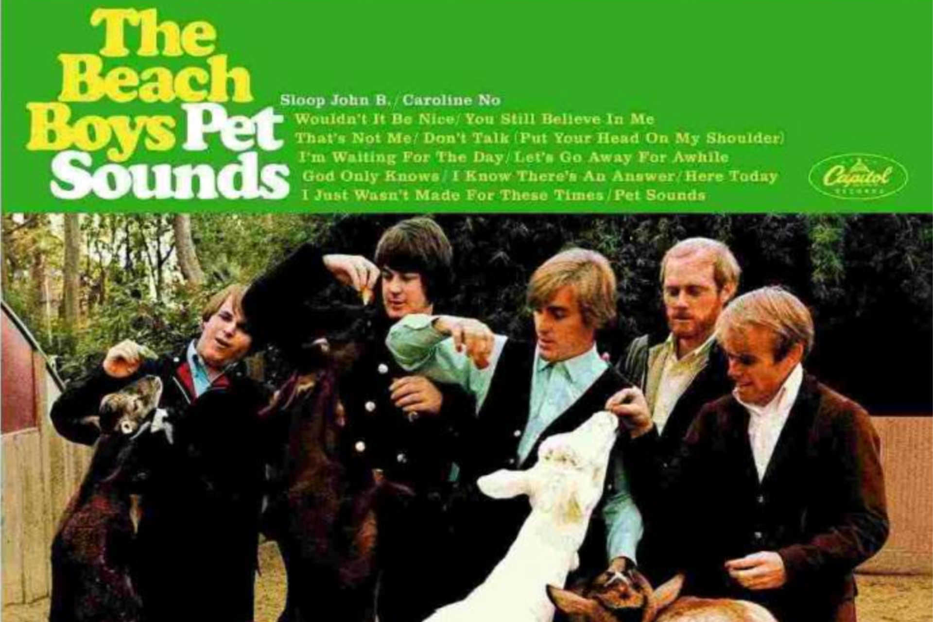 <p>De dierentuin van San Diego was de plaats waar de omslagfoto voor 'Pet Sounds' gemaakt werd. De naam van het album was bekend. Uiteindelijk kozen ze voor een close-up van het voeren van de geiten (geïnspireerd door een toneelstuk) in plaats van een exotisch dier. Meer dan een halve eeuw later spreekt het resultaat nog steeds tot de verbeelding.</p>