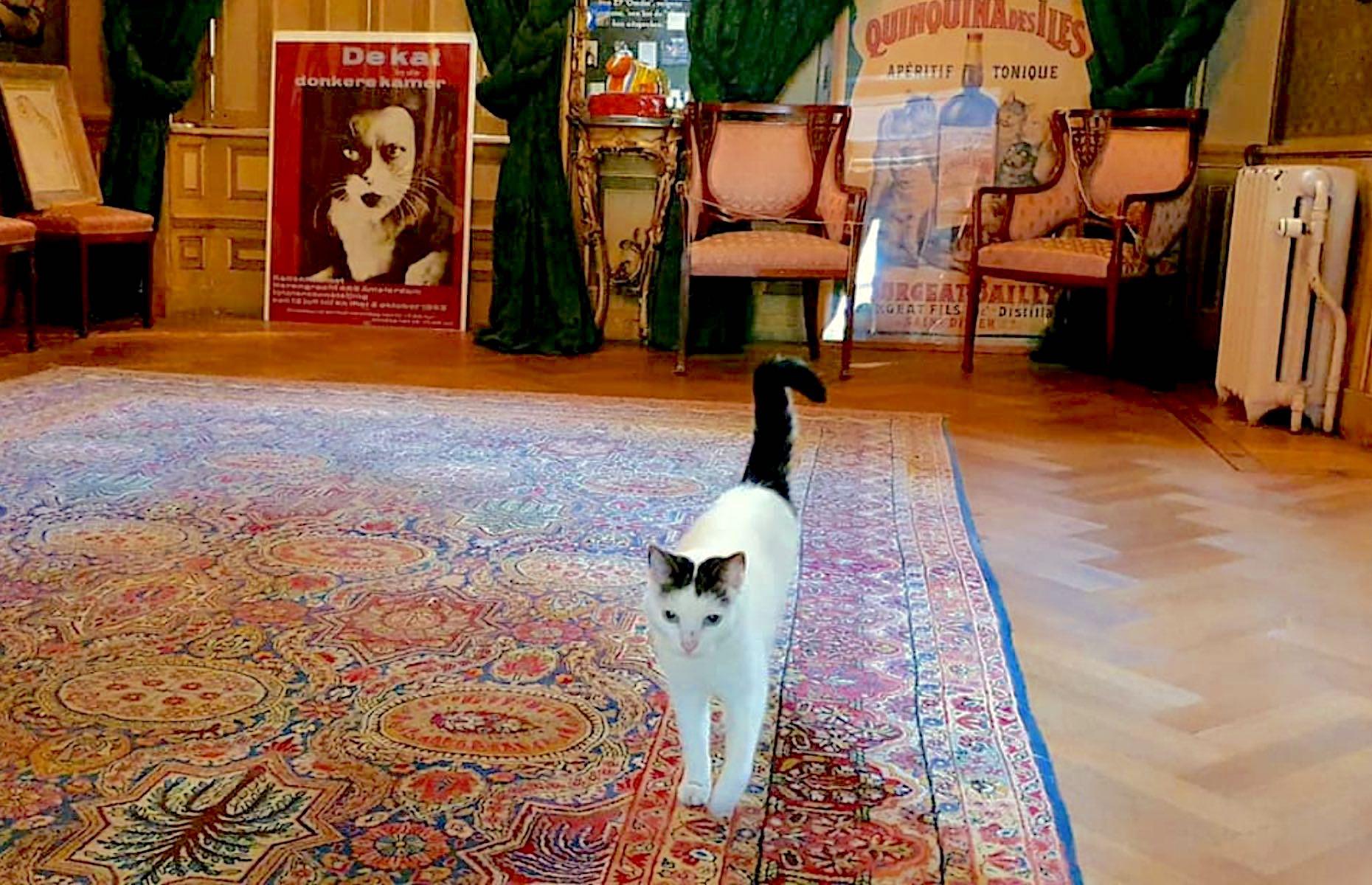 33 of the world's weirdest museums