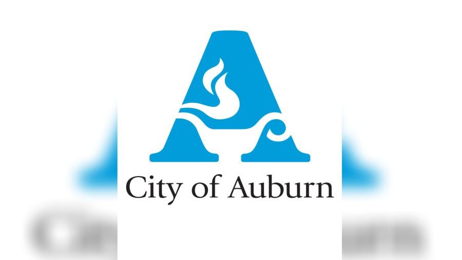 Auburn City Fest 2024 Alyce Lavina