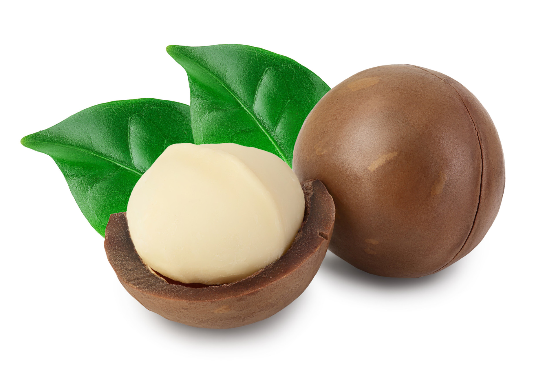 Cracking facts about macadamia nuts