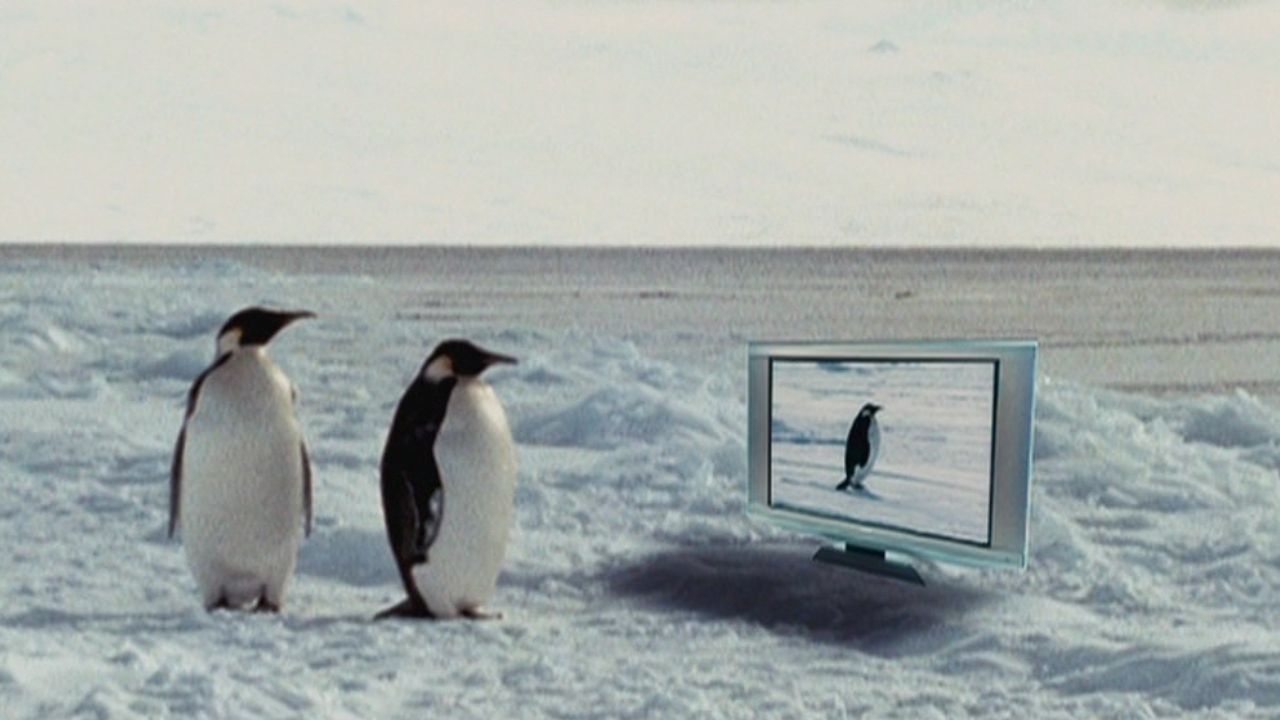 <p>                     A penguin with a disillusioned mind and a dirty mouth (Bob Saget) and his equally cynical and foul-mouthed friend (Lewis Black) travel a far distance in search for love in the Antarctic, which is captured by a camera crew observing the mating rituals of their species.                   </p>                                      <p>                     <strong>Why it’s worth checking out in honor of Gilbert Gottfried:</strong> Another notable instance in which Gilbert Gottfried voiced a winged animal was in 2006’s <em>Farce of the Penguins</em> - a filthy mockumentary that takes direct aim at the Academy Award-winning <em>March of the Penguins</em> by placing audio recordings of the hilarious cast (also including Norm MacDonald and Samuel L. Jackson as the Narrator) over actual nature footage, and was written / directed by Gottfried’s friend, Bob Saget.                   </p>