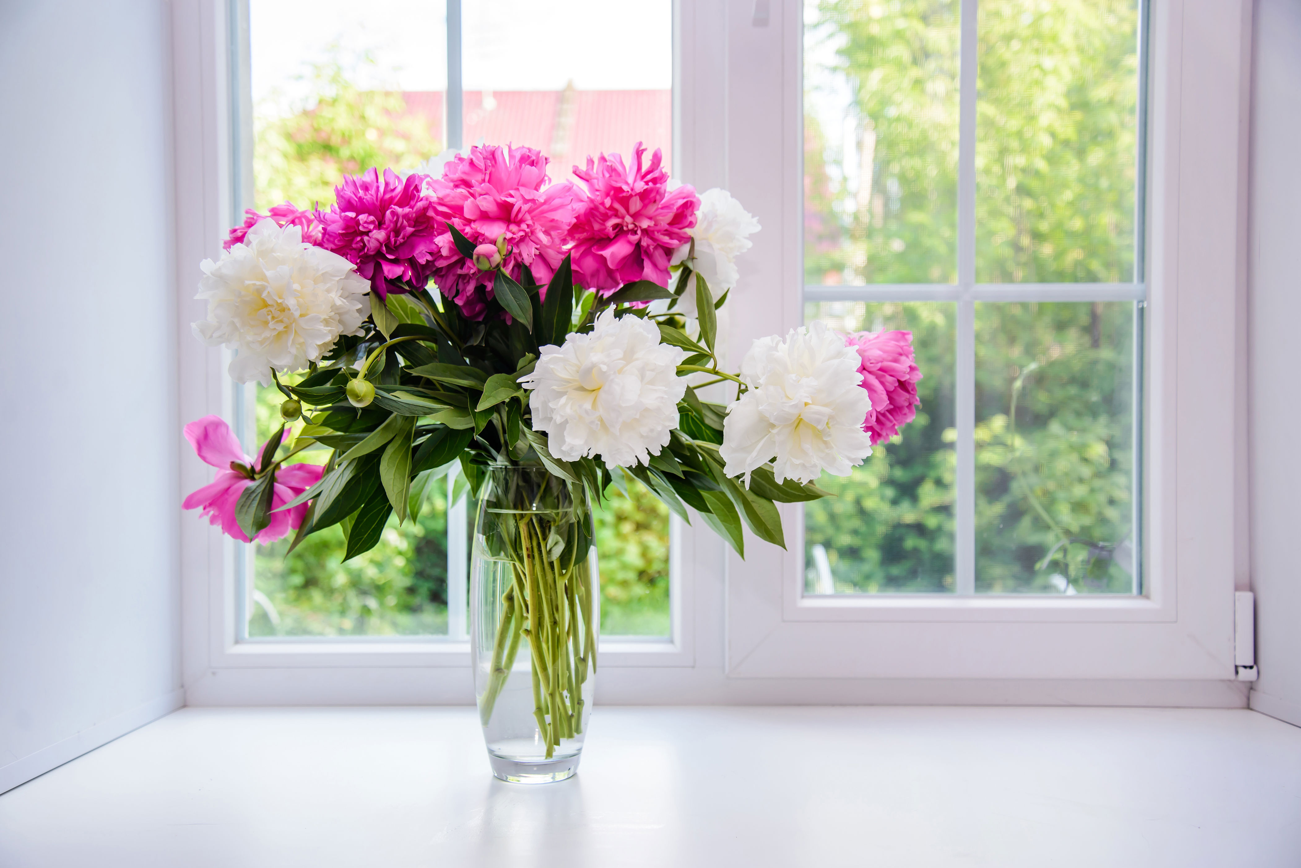 Eight clever hacks to keep flowers fresher for longer