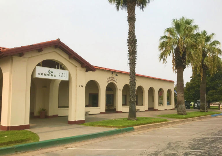 Corning City Council to discuss removing palm trees