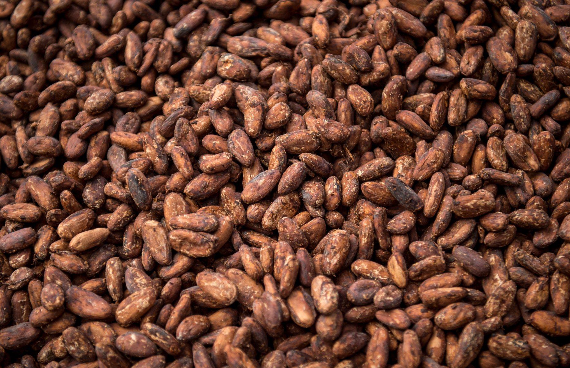 <p>There's often confusion between cocoa and cacao. The use of the former is believed to be a spelling mistake that stuck. English traders are thought to have mixed up the letters when labeling the beans for transport. Today, cacao tends to refer to the raw beans and cocoa the comforting hot drink.</p>