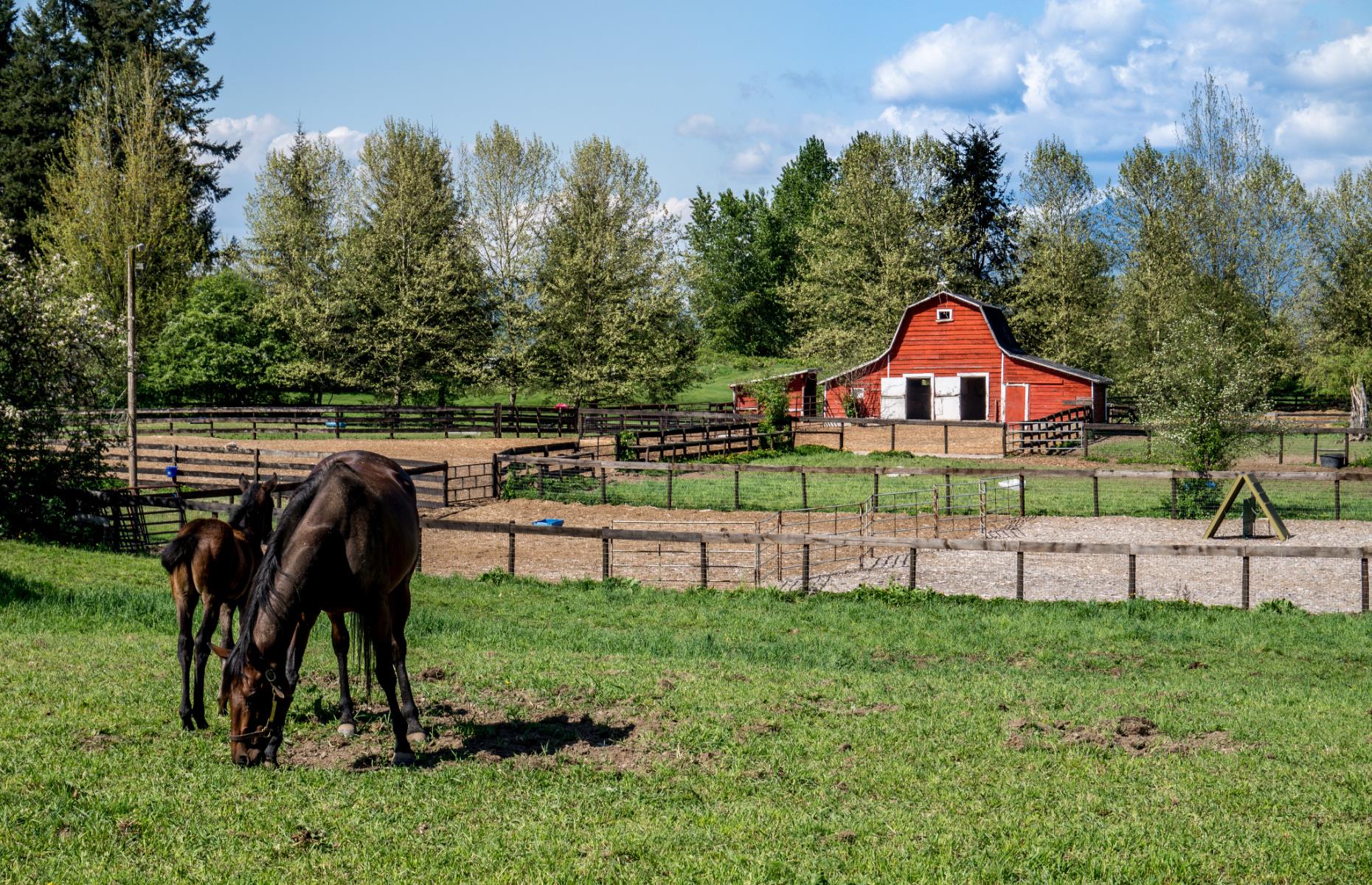 <p>The river valley makes for some of the most fertile farmland in Canada and many local food producers welcome visitors for either formal or self-guided tours. History lovers can also stop at the <a href="https://www.pc.gc.ca/en/lhn-nhs/bc/langley">Fort Langley National Historic Site</a>, an interpretive centre that served as a working Hudson’s Bay Company fur trading post 150 years ago.</p>