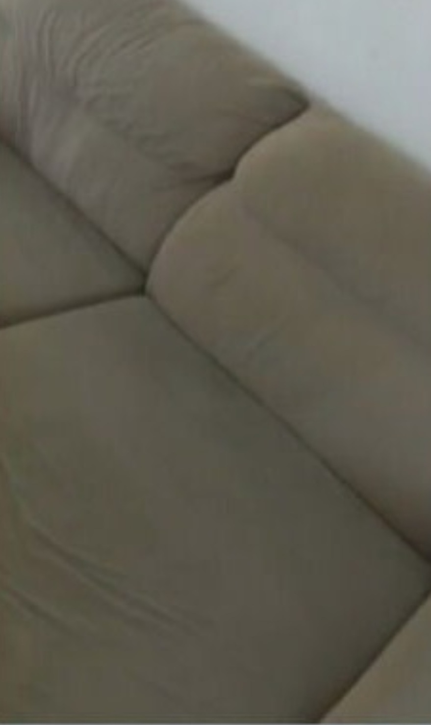 Mulher compra sofá usado e encontra cachorro dentro