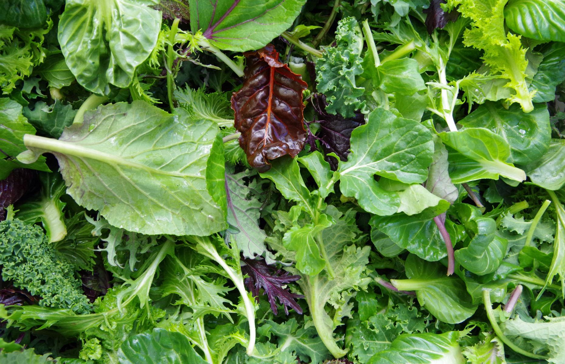 What you ACTUALLY need to know about food expiration dates