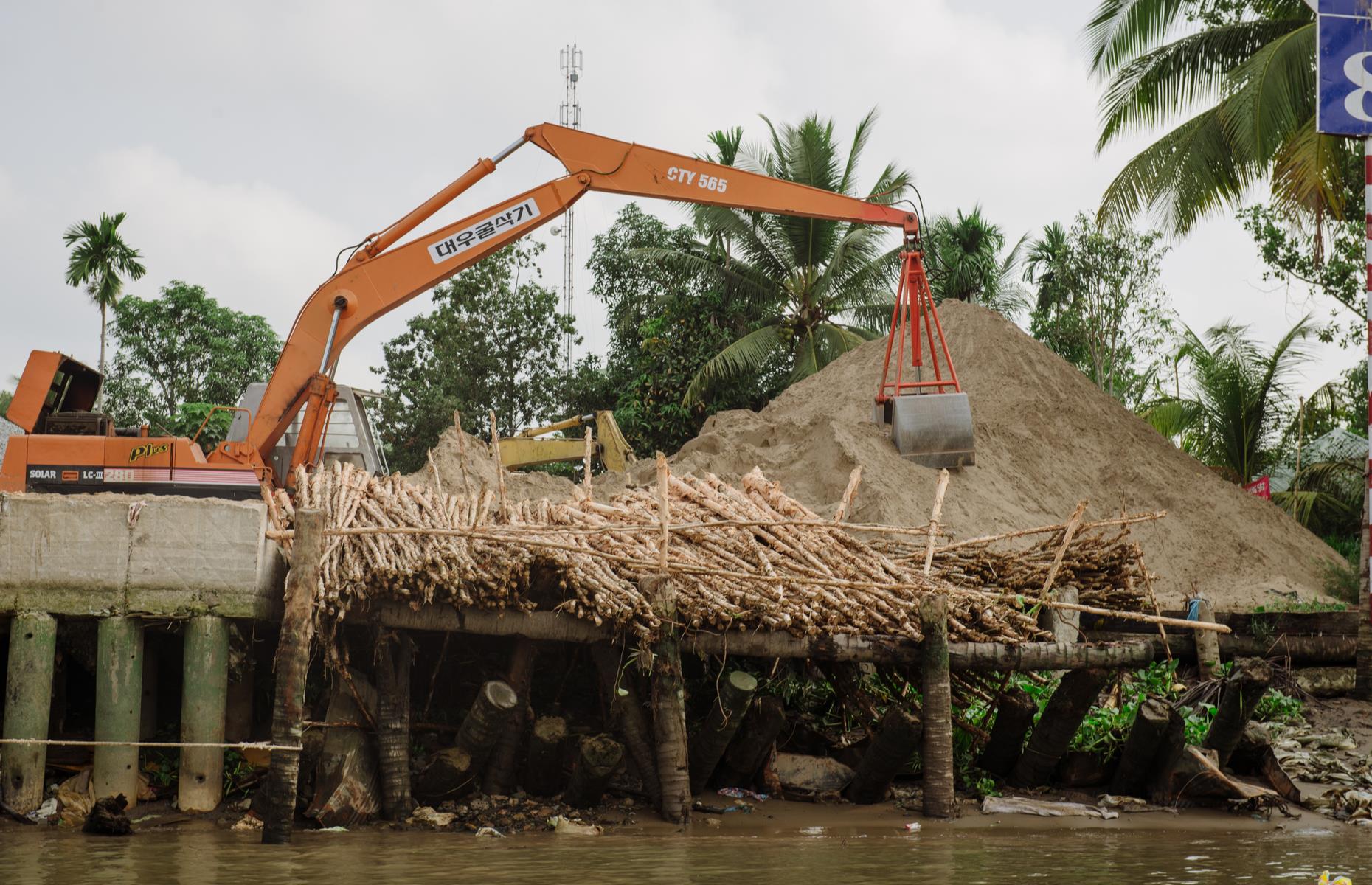 These Wildlife-Rich Rainforests Are All Tragically Endangered