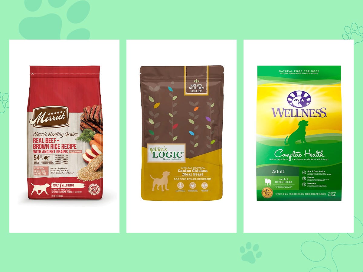 The best dog foods of 2023, according to experts