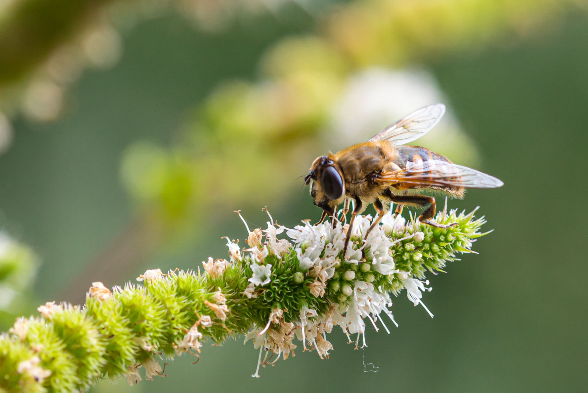 talking-to-your-plants-why-science-says-it-is-beneficial