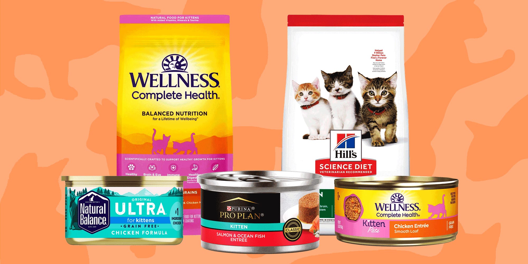 The best kitten foods of 2024, with advice from veterinarians