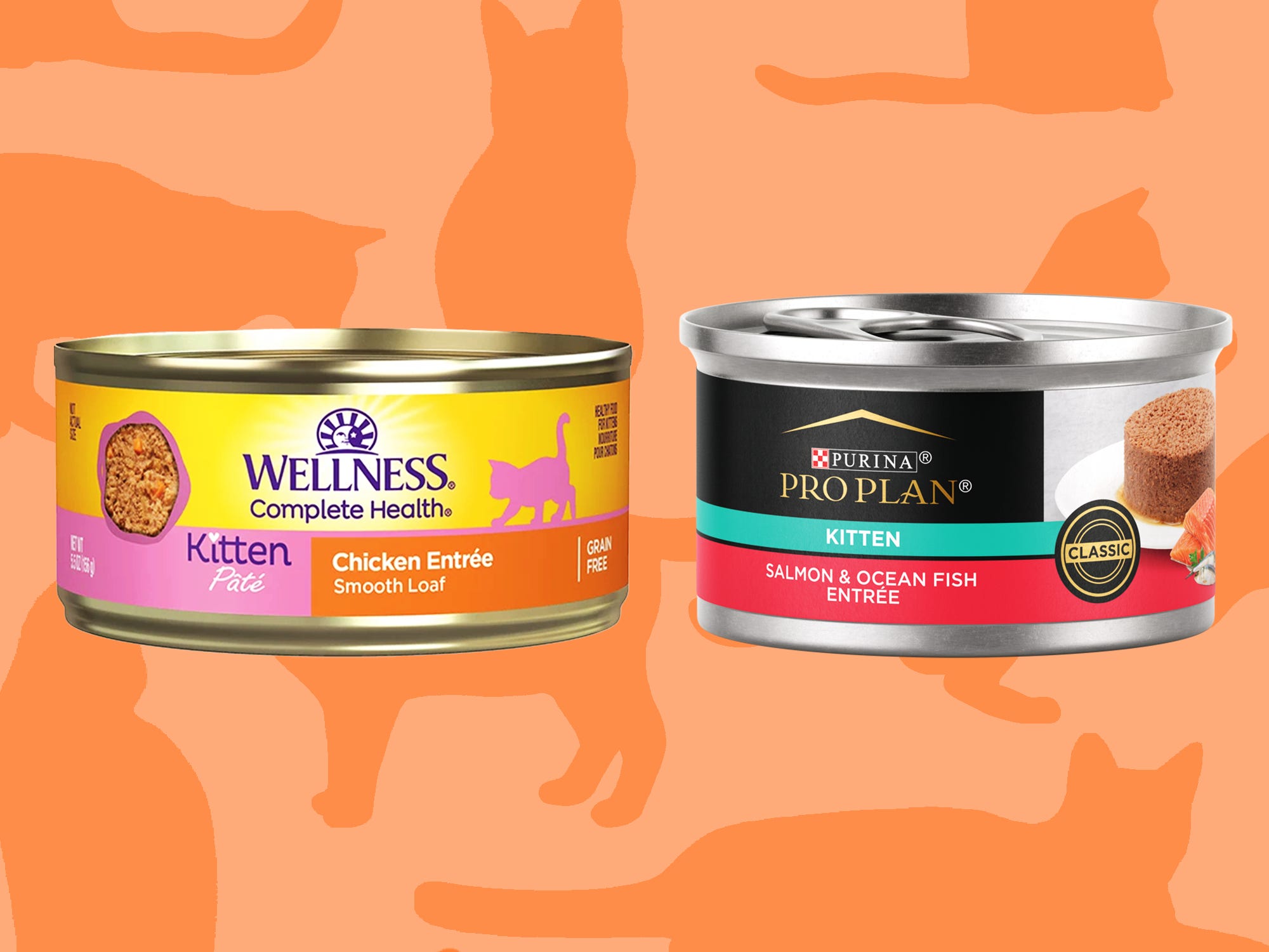 The best kitten foods of 2024, with advice from veterinarians