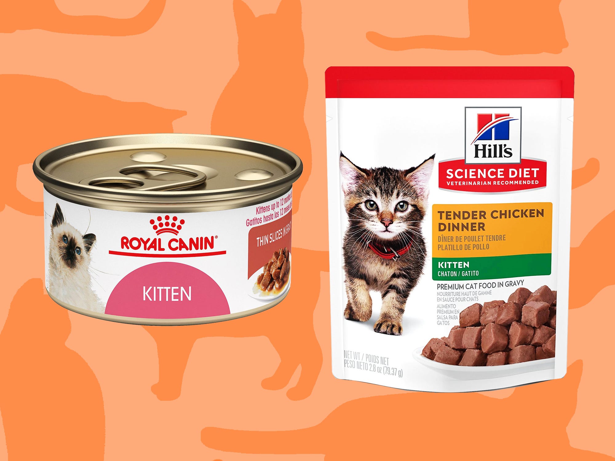 The best kitten foods of 2024, with expert advice from vets