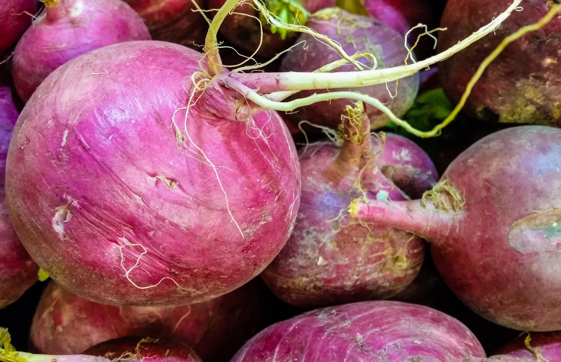 Репа турнепс. Турнепс ботва. Турнепс кормовой. Турнепс брюква. Репа турнепс.