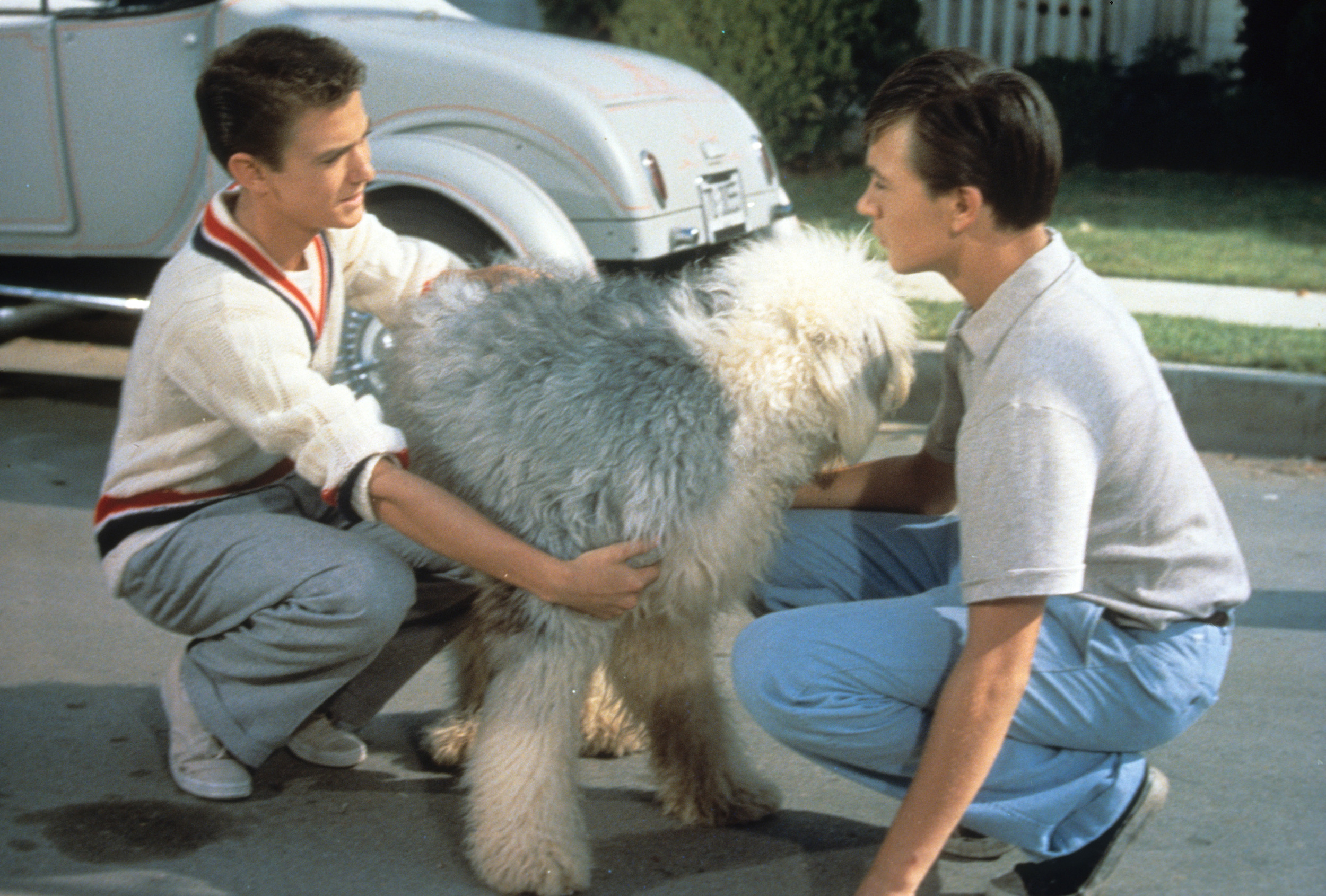 <p>“The Shaggy Dog” has been remade a few times, but we are going with the original. The story is simple. Tommy Kirk, a Disney movie staple, plays a teenage boy who periodically turns into, well, a shaggy dog. Fred MacMurray, also a Disney staple, is around as well. Amazingly, this movie got a sequel called “The Shaggy D.A.” Yes, it’s about an attorney who turns into a dog.</p><p><a href='https://www.msn.com/en-us/community/channel/vid-cj9pqbr0vn9in2b6ddcd8sfgpfq6x6utp44fssrv6mc2gtybw0us'>Follow us on MSN to see more of our exclusive entertainment content.</a></p>