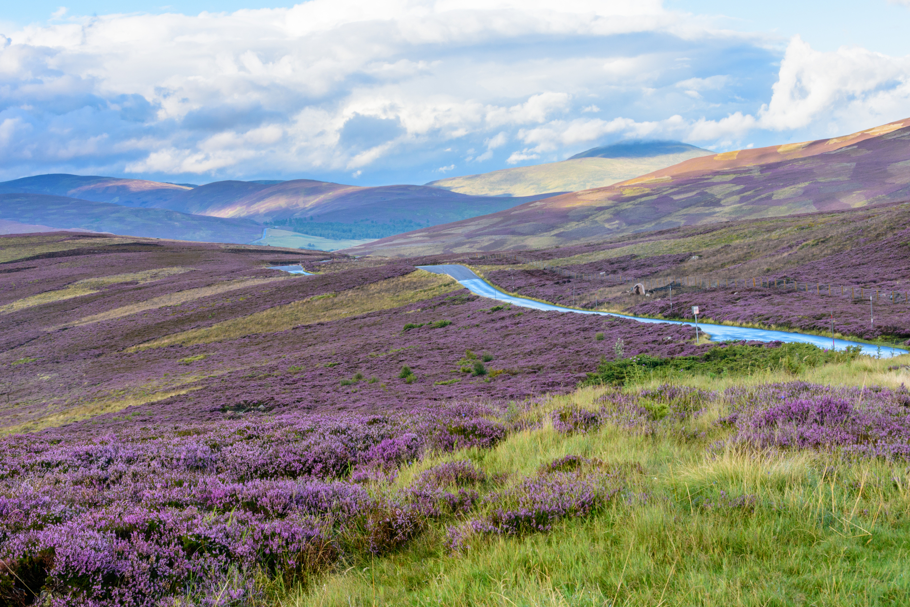 Covering more than 4,500 km<sup>2 </sup>(1,700 mi<sup>2</sup>), <a href="https://www.visitcairngorms.com/" rel="noreferrer noopener">Cairngorms</a> is the largest national park in the United Kingdom. You’ll find some of Scotland’s highest peaks, numerous sparkling lochs, and vast forests of native Caledonian pine. An ideal playground for water sports, cycling, and hiking, Cairngorms National Park is also home to <a href="https://www.visitcairngorms.com/listing/1534/balmoral-castle/" rel="noreferrer noopener">Balmoral</a>, the late Queen Elizabeth II’s favourite castle.