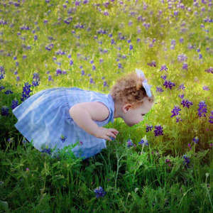 Baby in the Bluebonnets in Plano TX