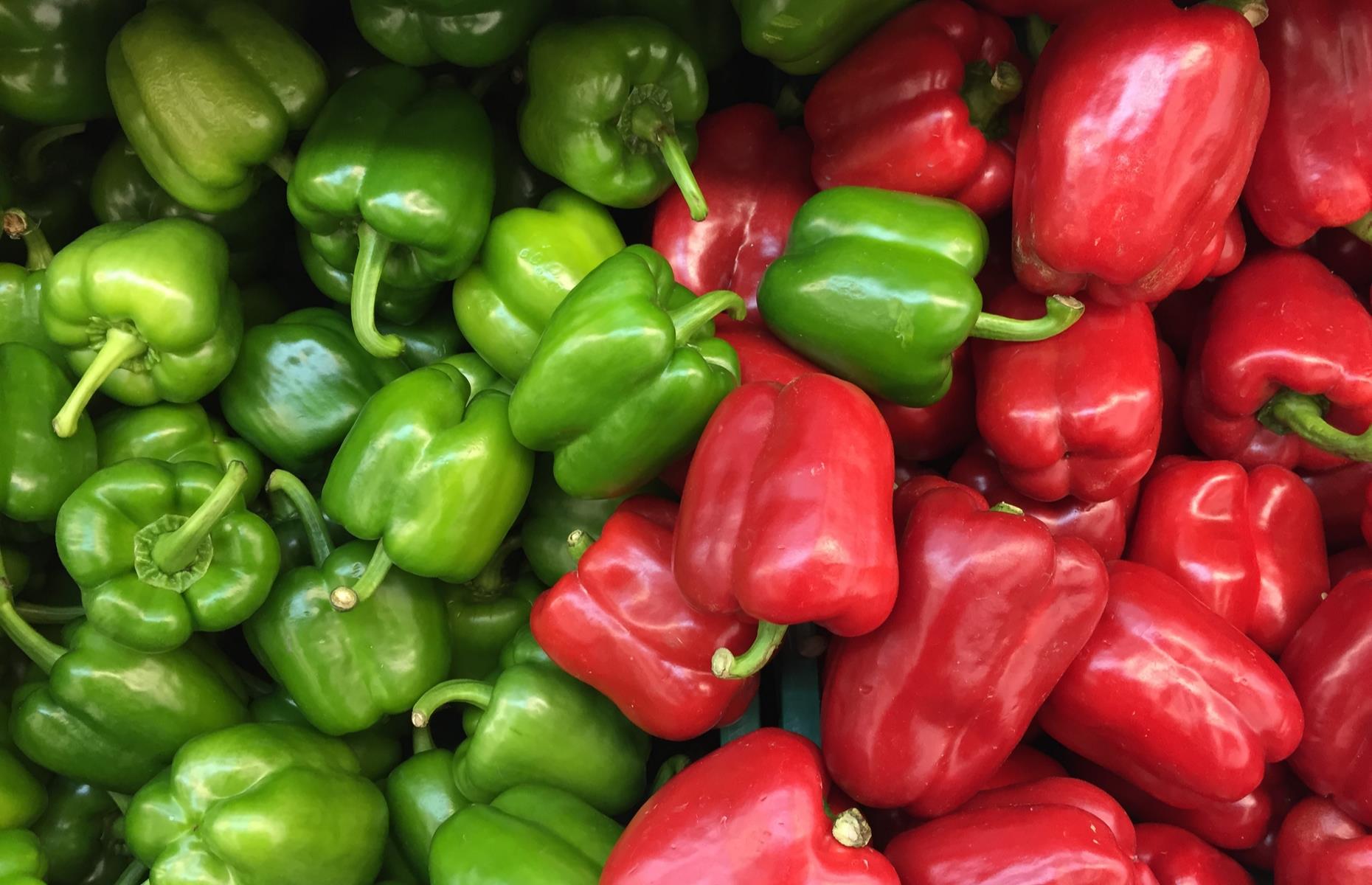 22 foods to help boost your immune system, ranked by a nutritionist