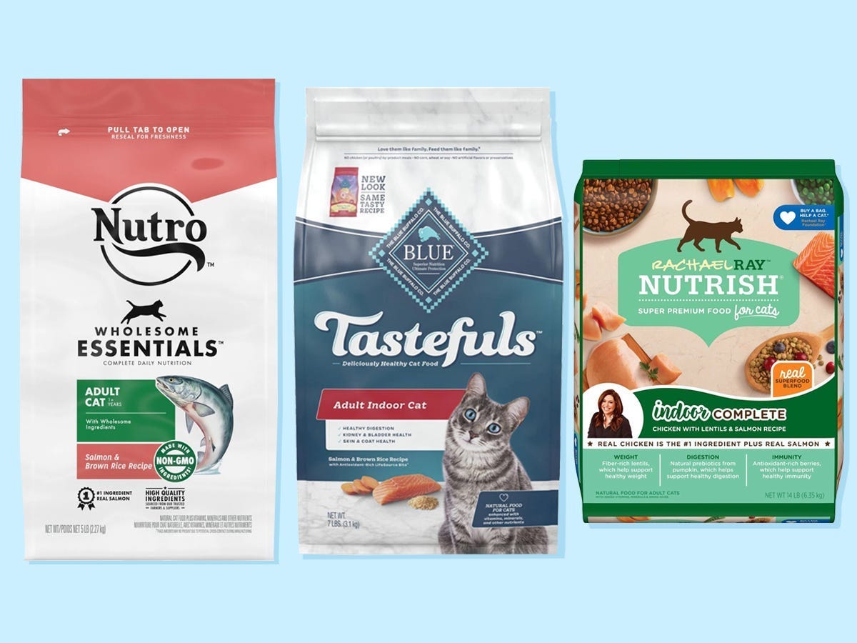 The best dry cat foods of 2024, reviewed with advice from vets