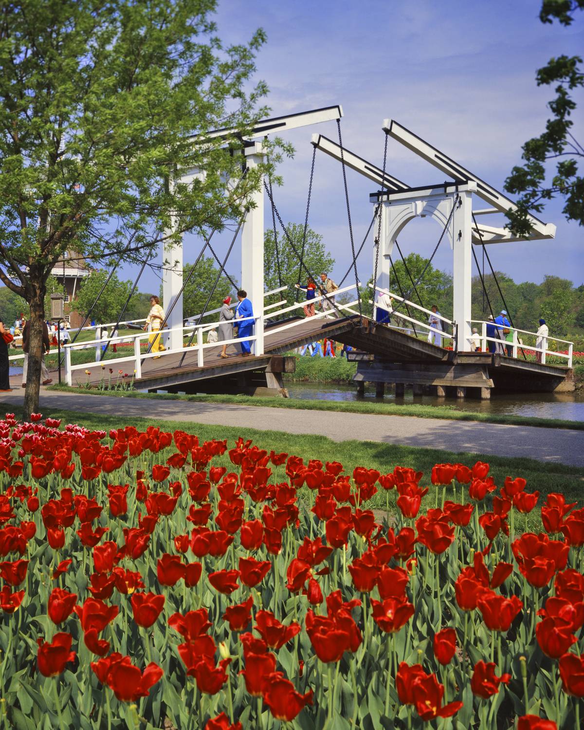 <p>This little Dutch-inspired slice of the Netherlands is actually located in Holland, Michigan. Dutch settlers founded the town back in 1847 and injected all of their homeland culture into the new community.</p> <p>The town is home to the DeZwaan Windmill, the only authentic and operational Dutch windmill in the United States.</p>