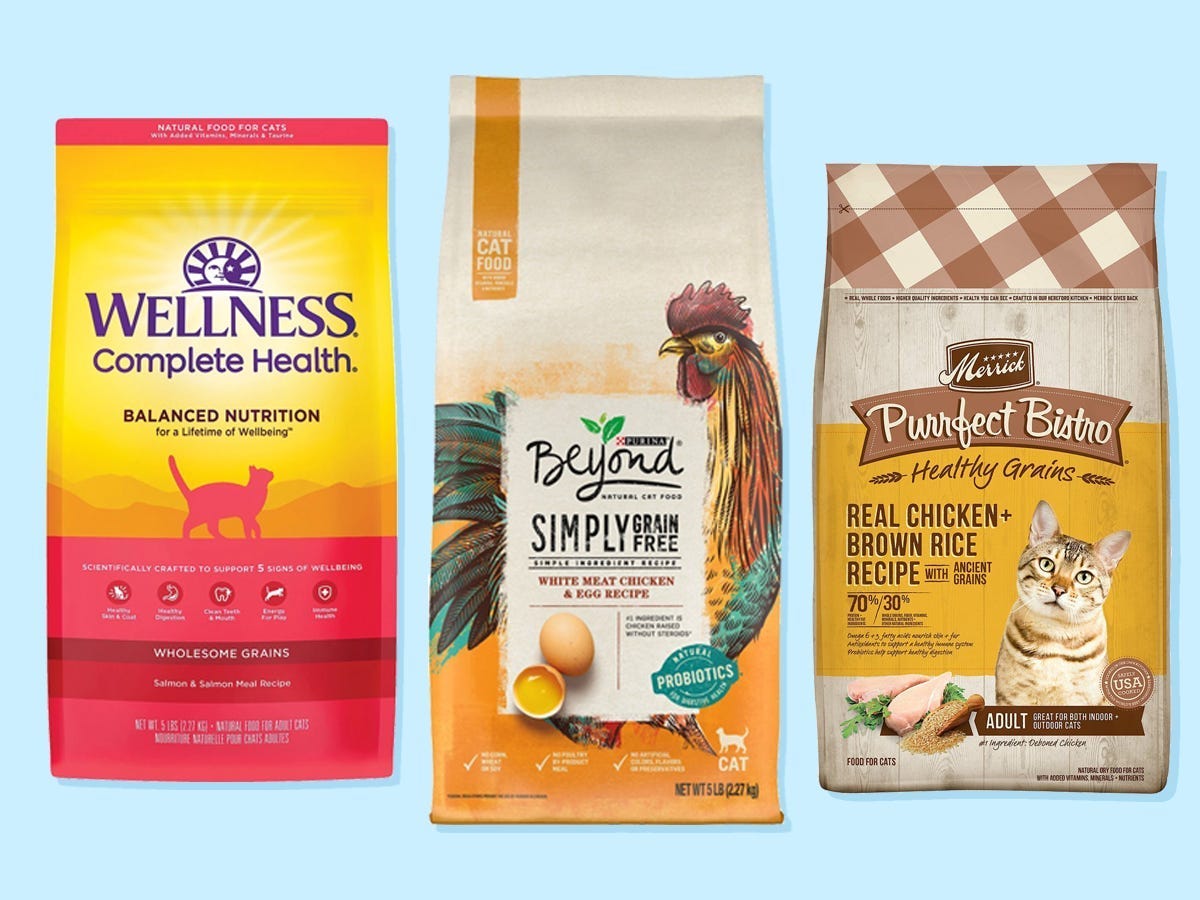 The best dry cat foods of 2024, reviewed with advice from vets