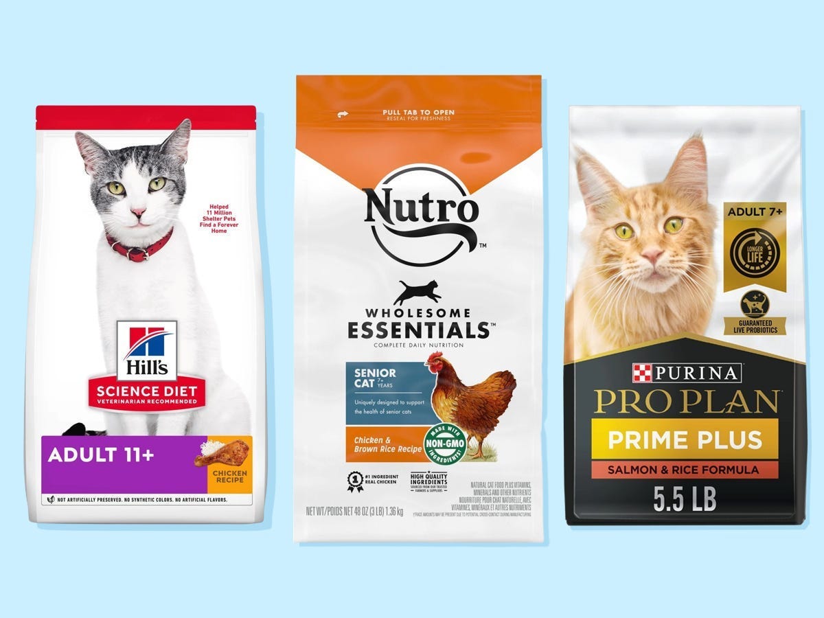 The best dry cat foods of 2024, reviewed with advice from vets