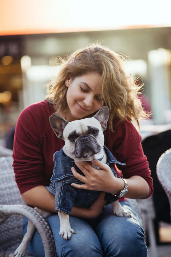 30+ Tried and Tested Pet Sitting & Boarding Places for Dogs & Cats