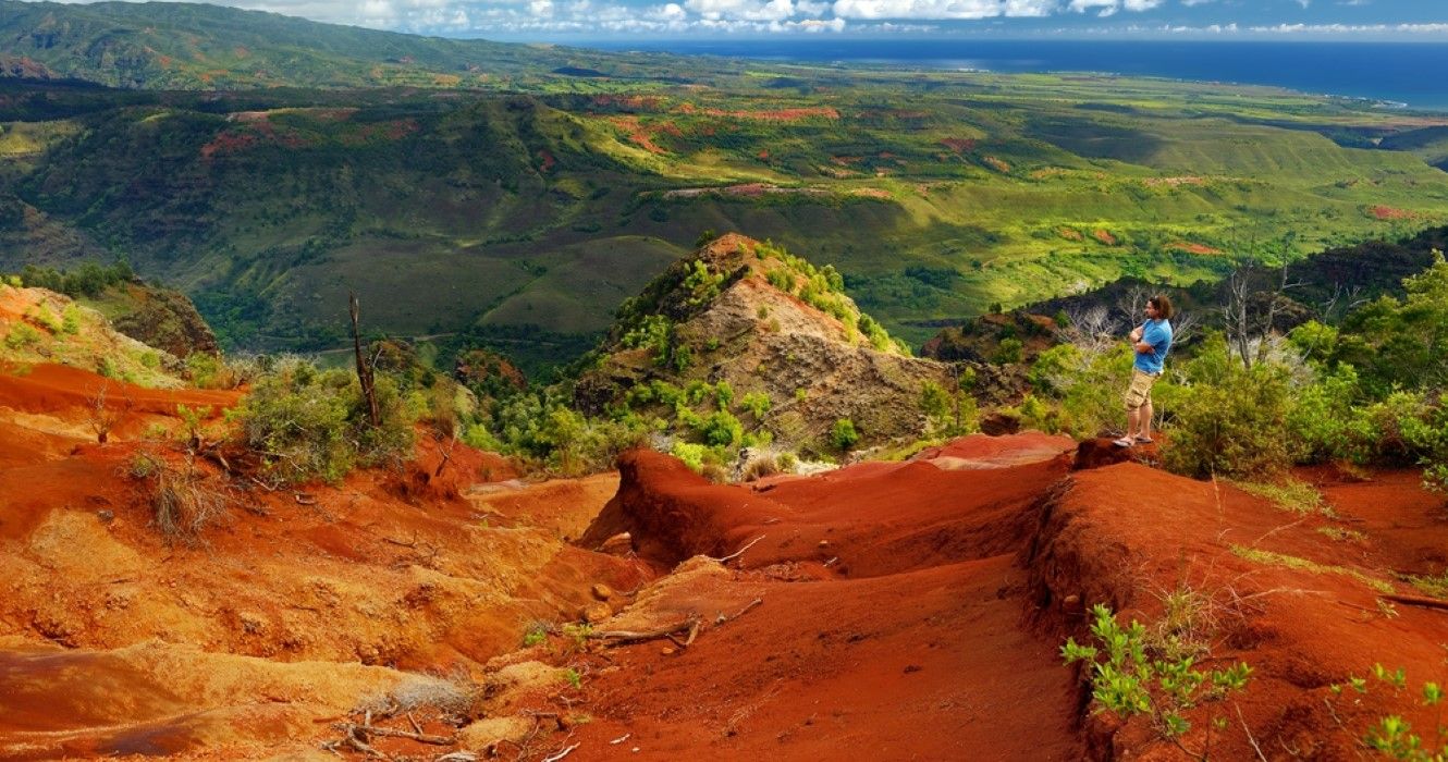 13 Waimea Canyon State Park Trails For All Levels With Stunning Views   AA18KGHC.img