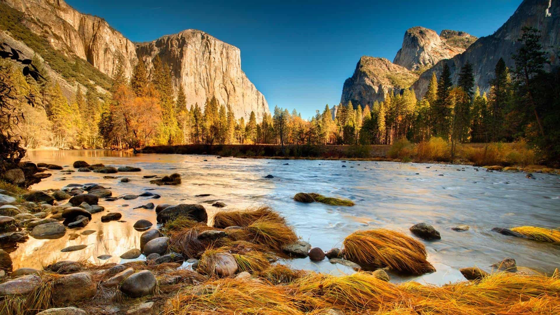 The 15 Best National Parks In California