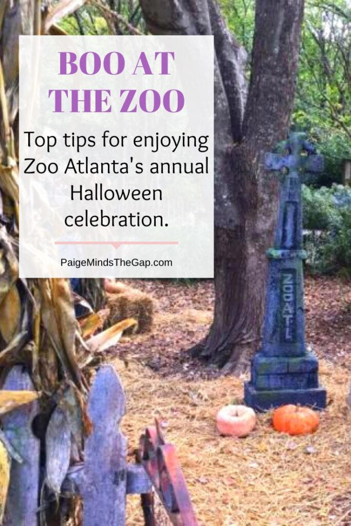 Boo at the Zoo, Atlanta Halloween Event at Zoo Atlanta