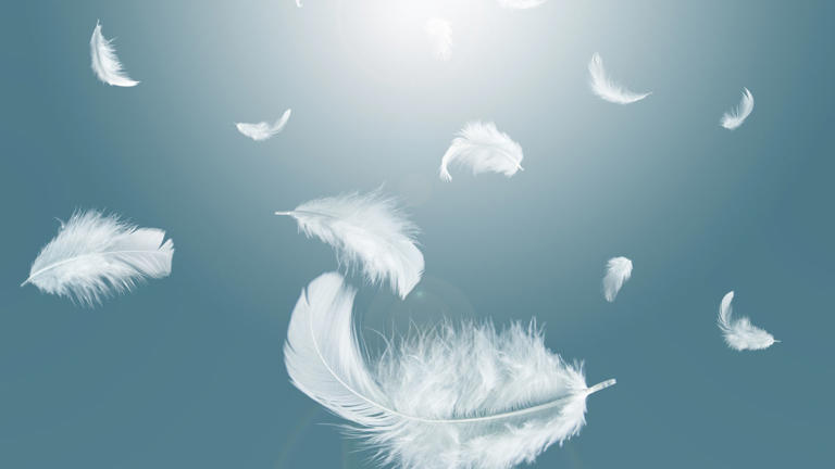 What Do Different Colors Of Feathers Mean Spiritually?