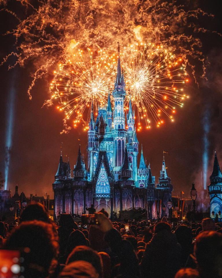 Your first-time visit to Disney World will be an exciting and amazing experience, whether you go there alone, with friends, or with family. However, to make sure everything will go right from the first try, it’s best to do a bit of research. This way, you’ll know what to expect, and you won’t feel intimidated...