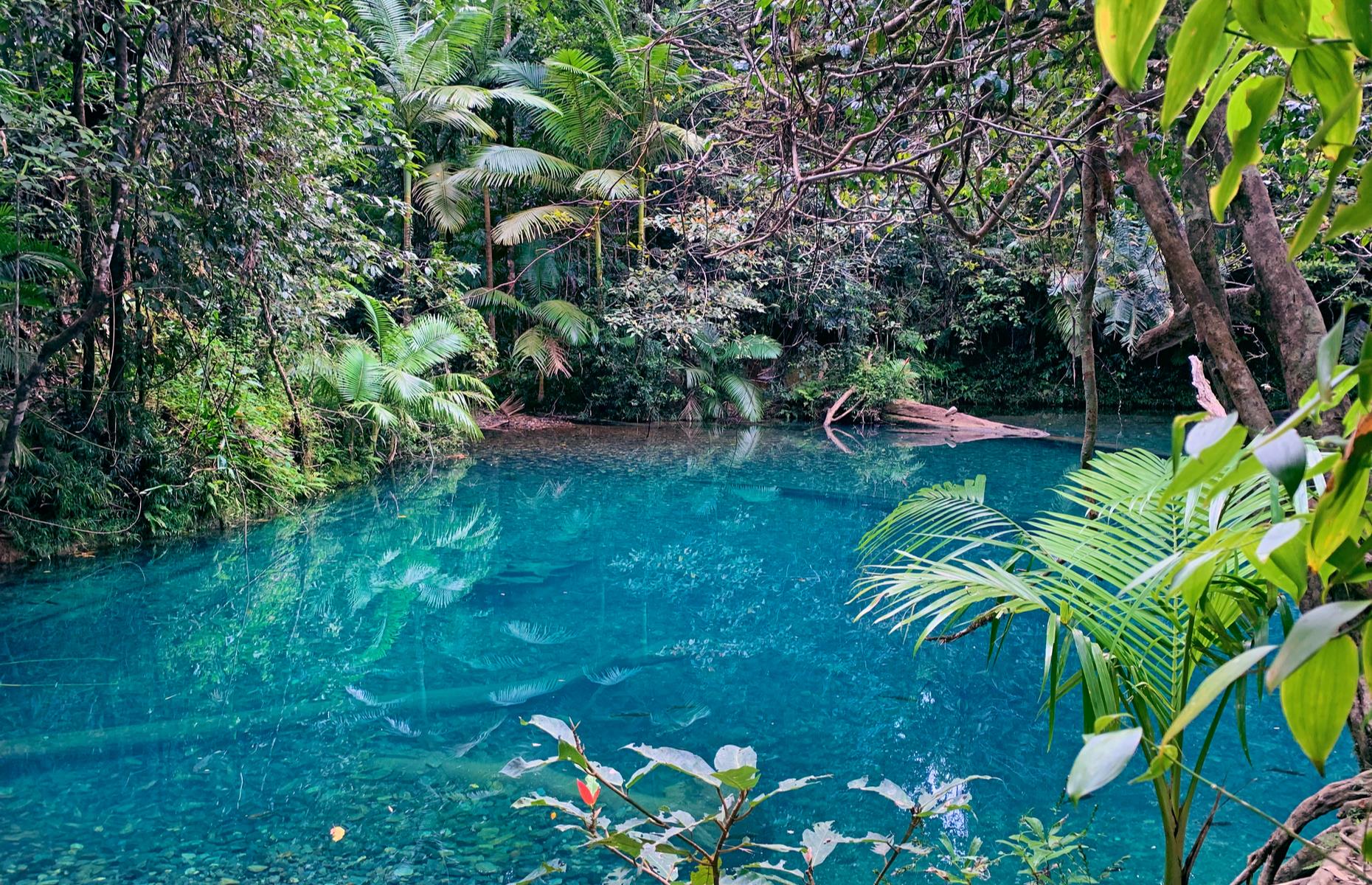 <p>Deep in the ancient tropical rainforest of Daintree National Park in far north Queensland, the Blue Hole is a sacred women's place for the Jalunjiwarra clan of the Eastern Kuku Yalanji people. Men are forbidden to visit and women must be invited to the area, a traditional healing pool and birthing place, by the traditional owners. Signs urge visitors to respect the sacred site with the Jalunjiwarra believing unwelcome visitors in the waters will experience health problems. </p>