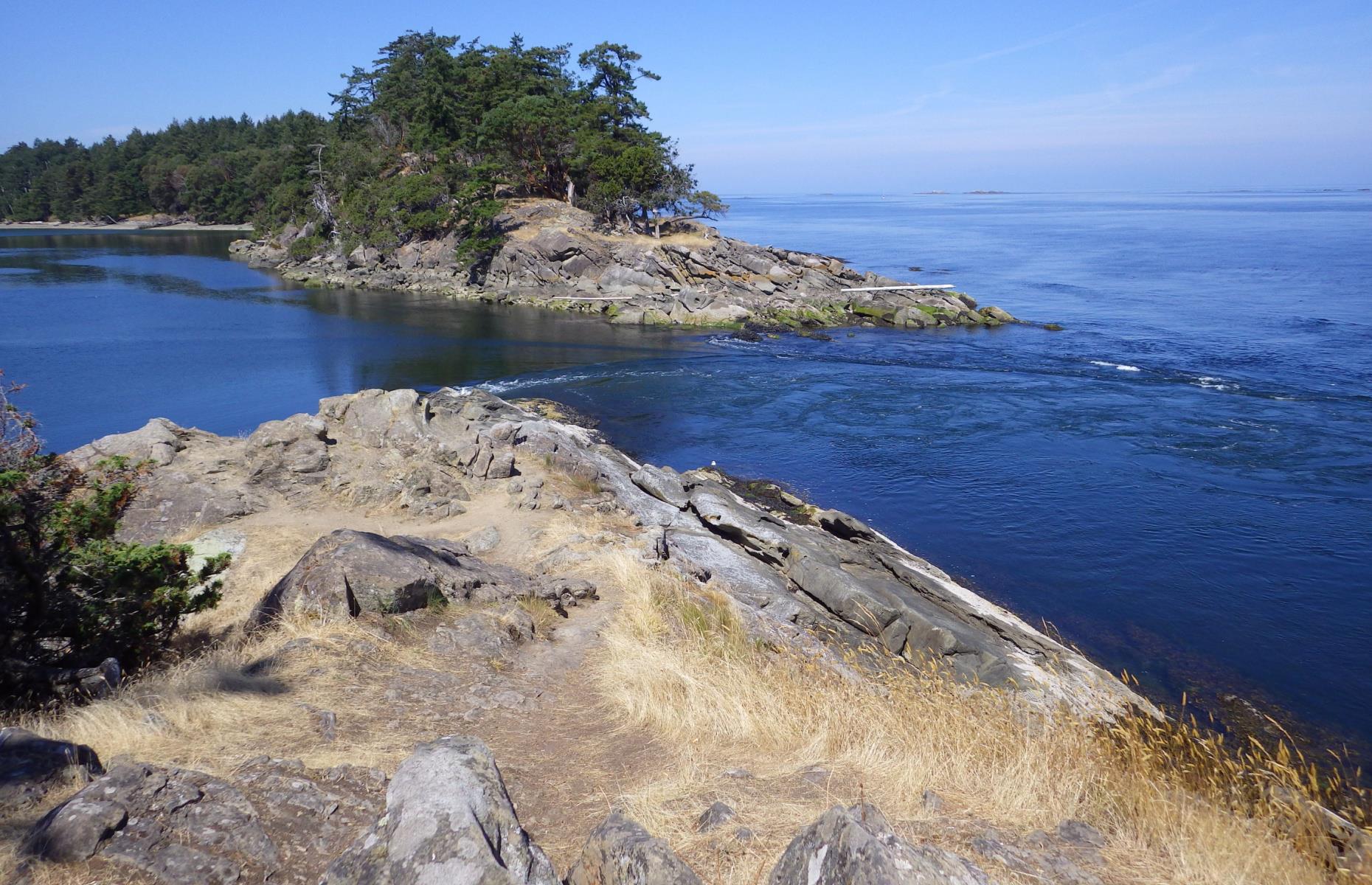 <p>The Gulf Islands are of tremendous importance to the Coast Salish peoples, both currently and historically. The cooperative relationships between Indigenous nations and Parks Canada <a href="https://wsanec.com/south-island-first-nations-sign-accord/">have not always been smooth</a> since the reserve was established: some local Indigenous groups argue that, while the park may protect ecosystems, it also obstructs their land use rights. The government continues to work with an <a href="https://parks.canada.ca/pn-np/bc/gulf/plan/e">Indigenous Management Board</a> to consult with Coast Salish groups that wish to be involved.</p>