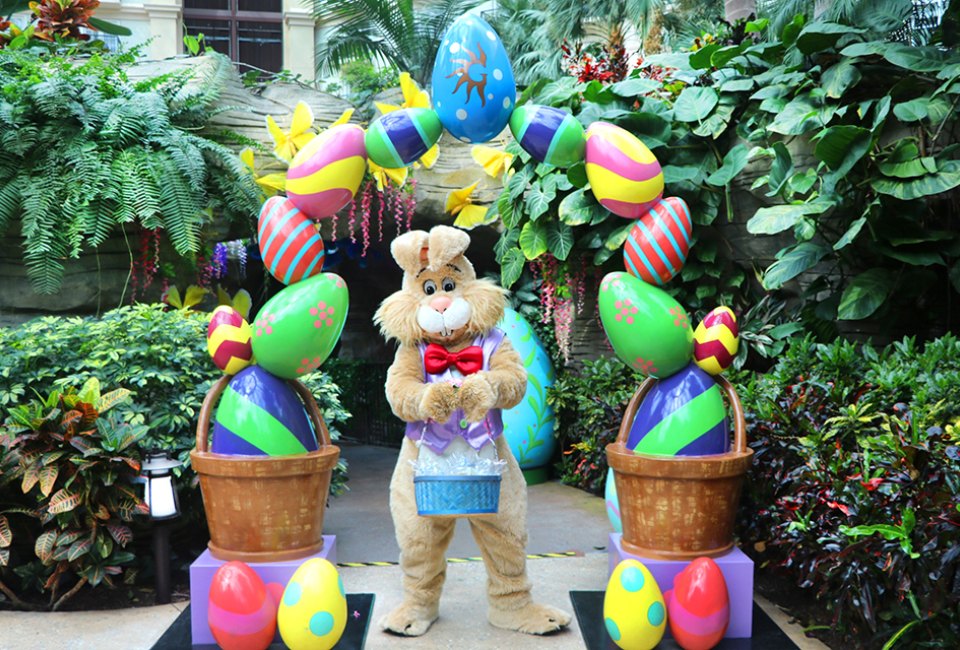 Meet The Easter Bunny At Bunny Brunches And Easter Bunny Pictures In ...